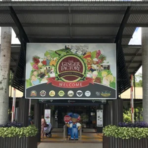 Ginger Factory Visit